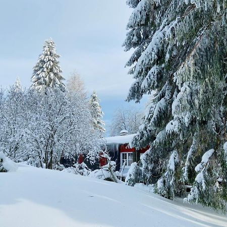 Baude Steinheid Am Rennsteig Mit 12 Betten Exteriér fotografie