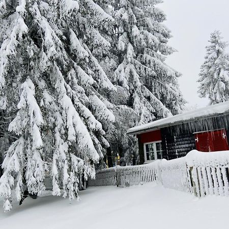 Baude Steinheid Am Rennsteig Mit 12 Betten Exteriér fotografie
